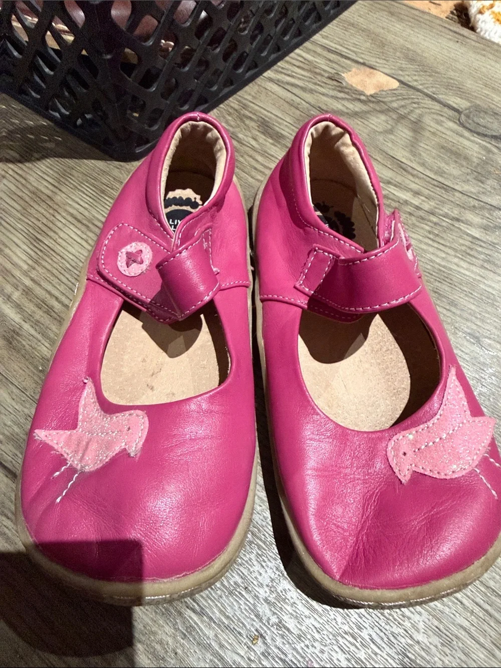 Livie & Luca Girls Hot Pink Mary Jane Shoes with Bird Appliques